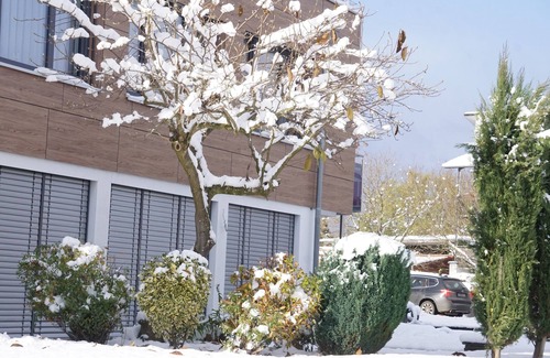 Bodman-Ludwigshafen Apartment | Apartment 'Aachhorn' with Lake View, Shared Terrace and Wi-Fi