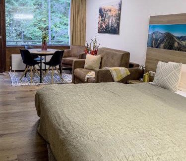Bad Goisern Apartment | Apartment A1