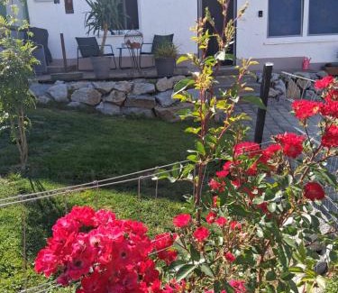 Reisbach Apartment | Apartment Aigner