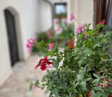 Old Town Apartment | Apartment Ajna