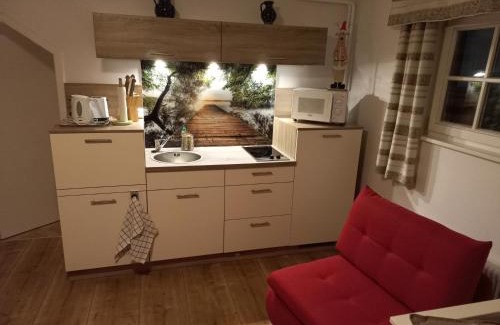 Gosau Apartment | Apartment Almröserl Edelweiss