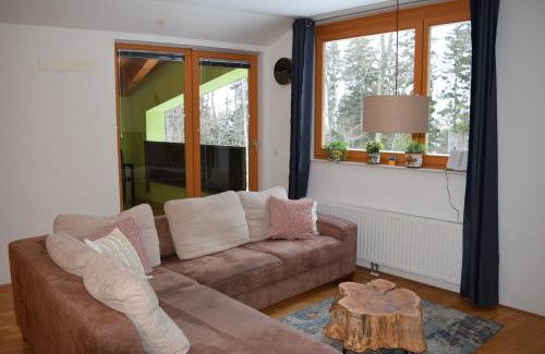 Hocko Pohorje Apartment | Apartment Alpina