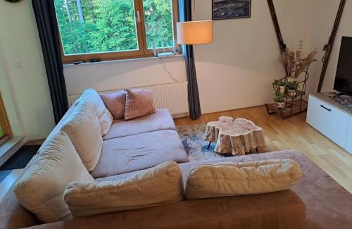 Hocko Pohorje Apartment | Apartment Alpina