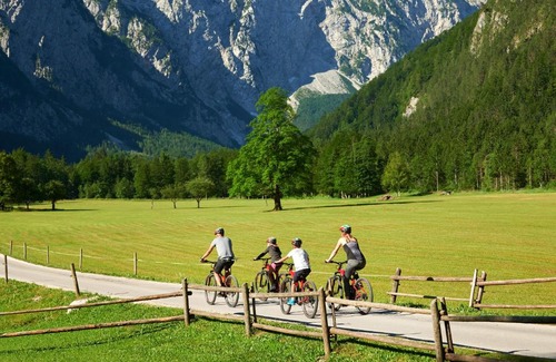 Ljubno ob Savinji Apartment | Apartment Alpine rose