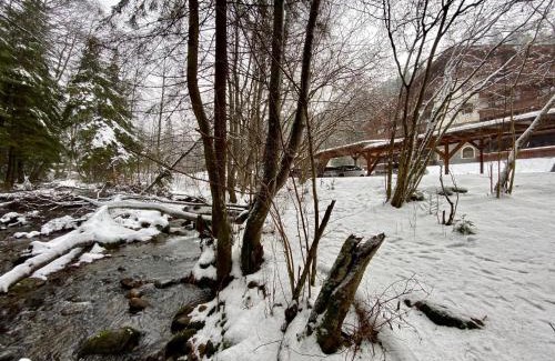 Tale Apartment | Apartment Amelia Tale, Ski Jasna 10 min, Wellness 5 min, Chopok View