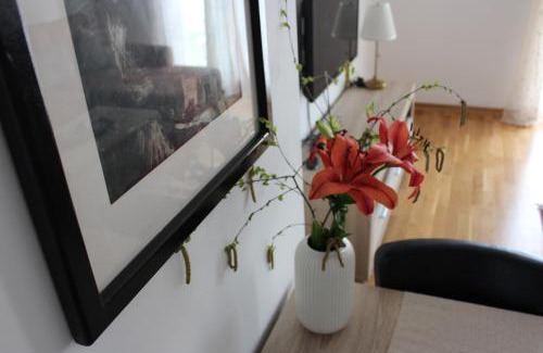 Niksic Apartment | Apartment Anagastum