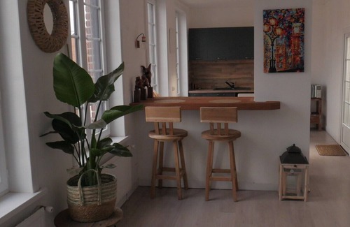 Mouvaux Apartment | Apartment-Apartment-Whirlpool bath-Balcony-Suite spa privatif