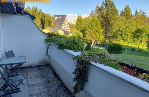 Bad Mitterndorf Apartment | Apartment Ausseerland