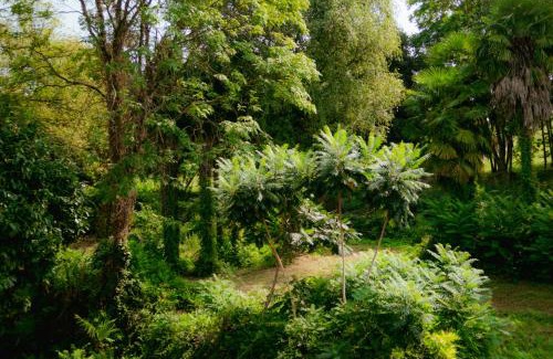 Taino Bed & Breakfast | apartment BB Lago Nel Pagliaio