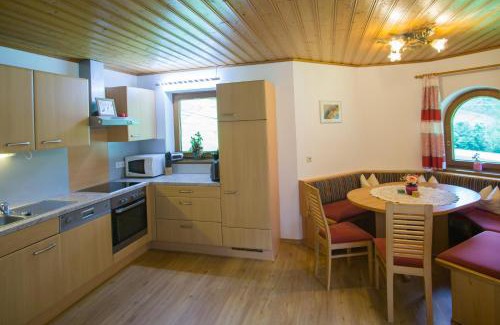 Mayrhofen Apartment | Apartment Bergblick