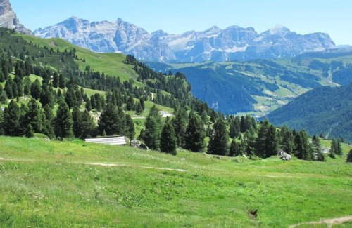 Vigo di Fassa Apartment | Apartment Bernardetta in Vigo di Fassa - 4 persons, 2 bedrooms