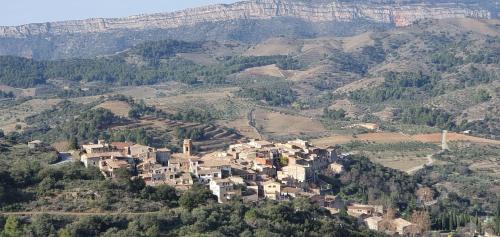 Torroja del Priorat Apartment | Apartment Cal Viola