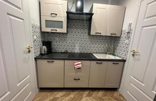 Chorzow Apartment | Apartment Chorzow Center