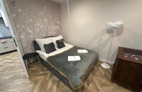Chorzow Apartment | Apartment Chorzow Center