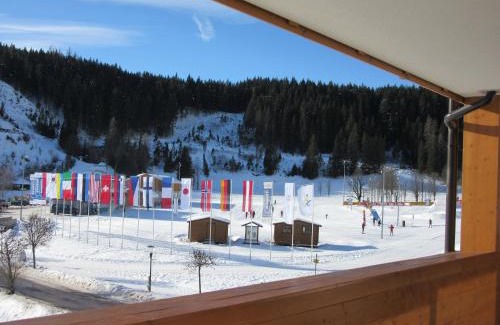 Ramsau am Dachstein Apartment | Apartment Coley