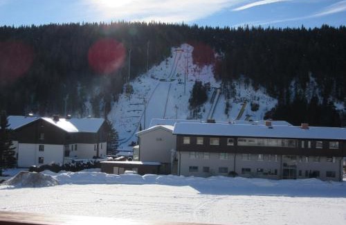 Ramsau am Dachstein Apartment | Apartment Coley