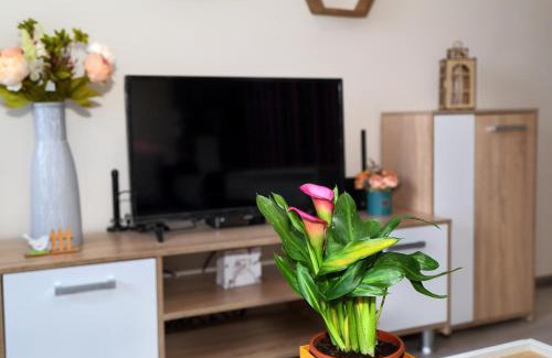 Veliko Tarnovo Apartment | Apartment Colibri