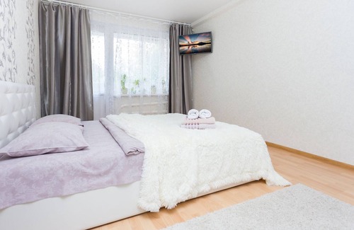 Frunzensky District Apartment | Apartment Comfort on Sportivnaya