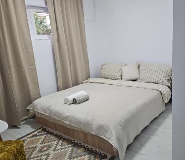 Arad Apartment | Apartment cu bun gust, parcare publica fără plata, Self Non Stop check in, zona linistita