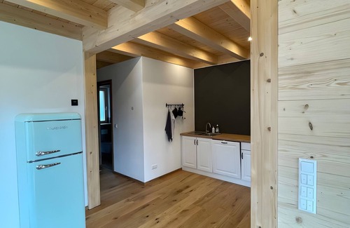 Friesenried Apartment | Apartment 'dahoimelig' with mountain view, private terrace and Wi-Fi