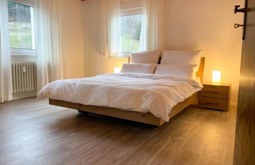 Bad Peterstal-Griesbach Apartment | Apartment Sonnenglück im Schwarzwald with Panoramaview, Terrace, 3 Bedrooms