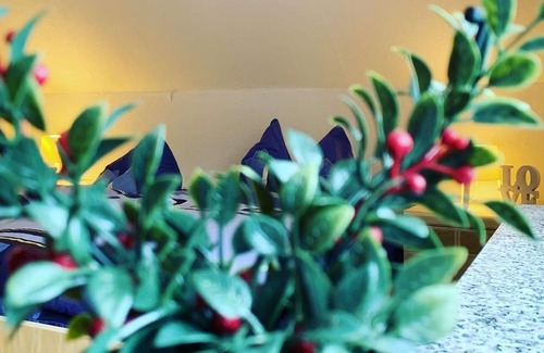 Waldbrunn House | Apartment Timeout Westerwald - 4 bed apartment