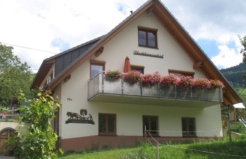 Glottertal Apartment | Apartment 'Dischhansenhof' with Mountain View, Shared Garden and Wi-Fi