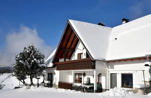 Biederbach Apartment | Apartment Dufner