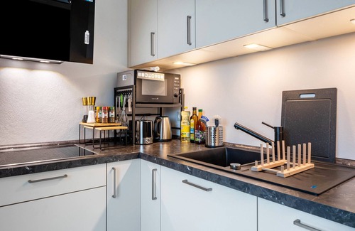 Waldkirch Apartment | Apartment 'Felsenkeller 16' with Mountain View, Private Terrace and Wi-Fi