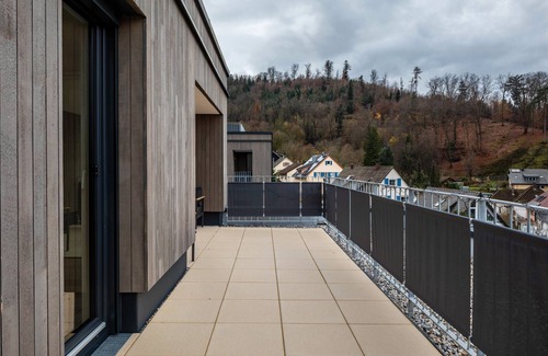 Waldkirch Apartment | Apartment 'Felsenkeller 16' with Mountain View, Private Terrace and Wi-Fi