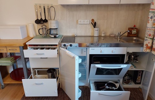 Munchen District Apartment | Apartment 'Ferienwohnung Grünwald' with Private Garden and Wi-Fi