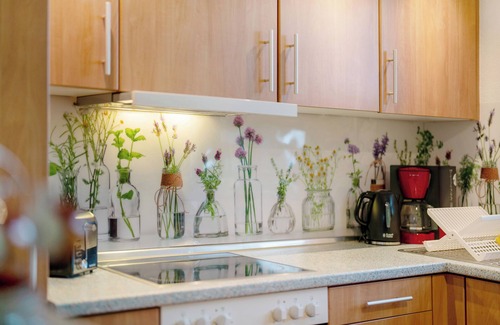 Freiamt Apartment | Apartment 'Ferienwohnung' with Shared Garden and Wi-Fi