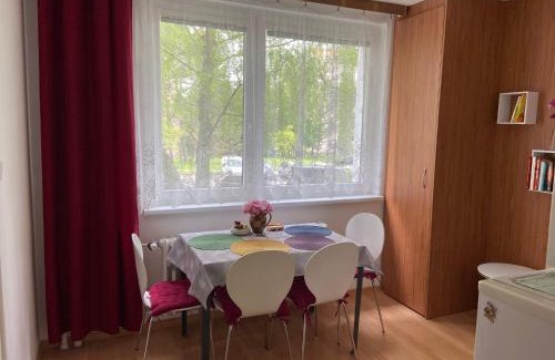 Olomouc Apartment | Apartment Fialka