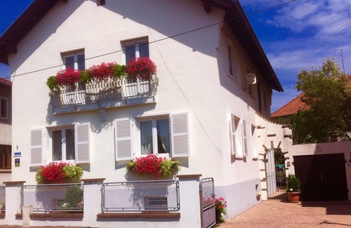 Lingolsheim Apartment | Apartment/flat - Lingolsheim