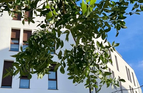 Ponteareas Apartment | Apartment for 4 guests near the Portuguese Way of St. James