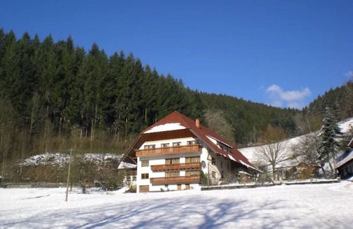 Muehlenbach Apartment | Apartment 'Fuchsbau' with Mountain View, Balcony and Wi-Fi