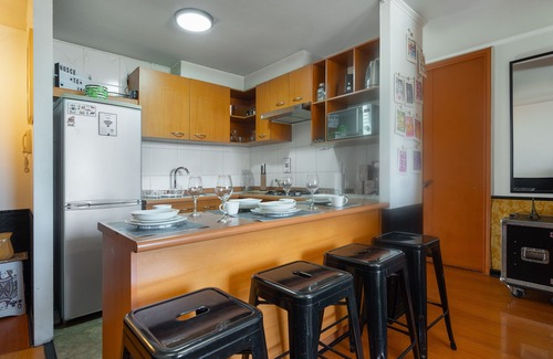 Bellas Artes Apartment | Apartment Full Equiped Whit A/C. In The Heart Of Santiago, Chile!