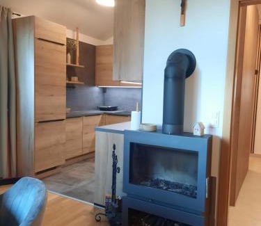 Hocko Pohorje Apartment | Apartment - Golden Fox 18 - Pohorske terase