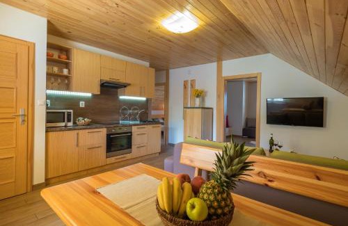 Demanovska Dolina Apartment | Apartment House Kongen
