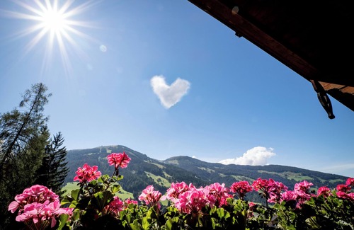Alpbach Apartment | Apartment I - Wonderful view of the mountains