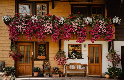 Titisee-Neustadt Apartment | Apartment 'Im Heustock, 130qm' with Shared Terrace, Shared Garden and Wi-Fi