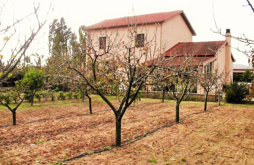 Alghero House | apartment in a villa in the countryside just 4 km from the sea
