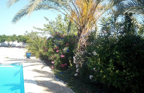 Barxeta Apartment | Apartment in BARXETA (province of Valencia)
