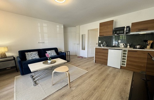 Maillets - Bellevue Apartment | Apartment in Le Mans with Private Terrace