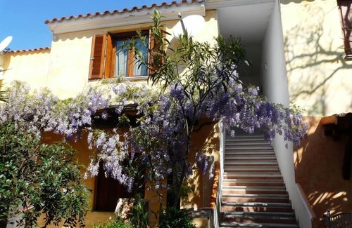 Vaccileddi Apartment | Apartment/flat - Loiri Porto San Paolo