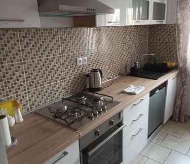 Pozega Apartment | Apartment Jazz