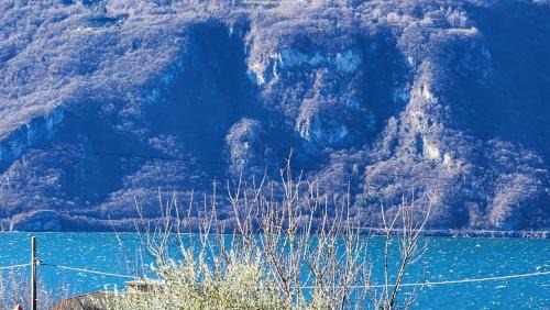 Lierna Apartment | Apartment L'ulivo lake view private road 5 kilometers from Varenna