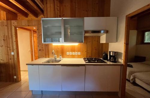 Oz-en-Oisans Apartment | Apartment Les Rousses 3 minutes from Alpe dHuez Grand Domaine via Oz en Oisans
