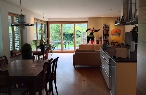 Lustenau Apartment | Apartment 'Loft Mit Kamin Und Whirlpool' with Private Terrace, Private Garden and Wi-Fi