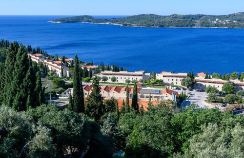 Orasac Apartment | Apartment MARIO - veliki stan za odmor - terasa- vrt - bazen - pogled more, izoliran
